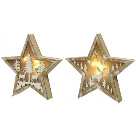 Assorted LED Winter Star Scenes 
