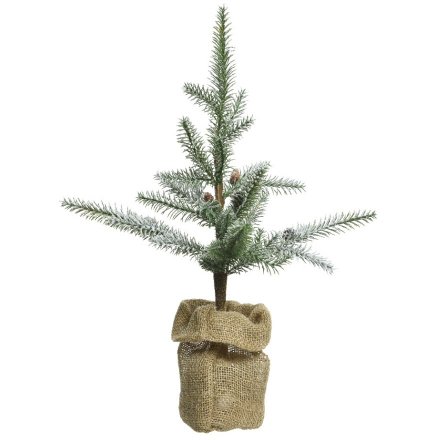 Frosted Pine Tree In Jute Bag 