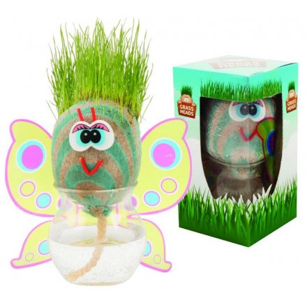  Grow Your Own Grass Butterfly Head 