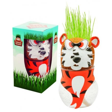  Grow Your Own Grass Tiger Head 