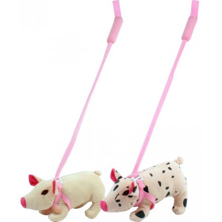 Assorted Walk-A-Piggy Toys