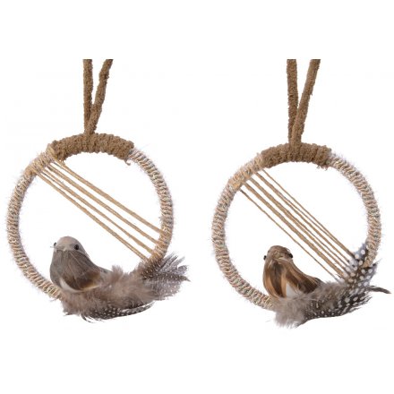 Assorted Bird Dreamcatcher Hangers 