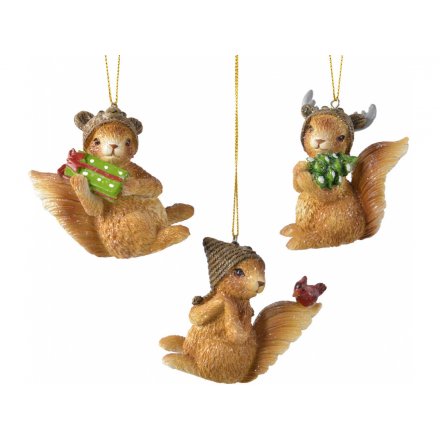 Assorted Hanging Squirrels 