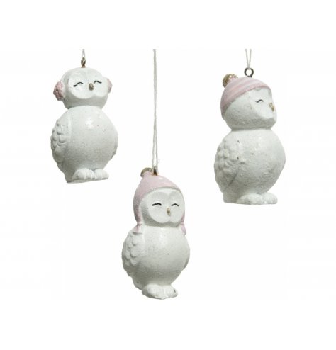 An assortment of 3 adorable owl decorations, each with a winter warming hat or ear muffs. 