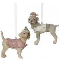 Bring a cute 4 legged feature to your Christmas Tree this season with this adorable mix of hanging resin dogs 