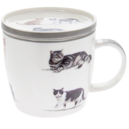 Cat Printed Fine China Mug & Coaster 