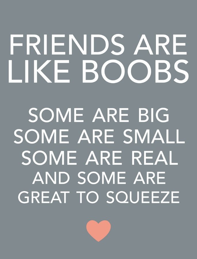 Friends Like Boobs Mini Metal Sign 9cm 46685 Occasions