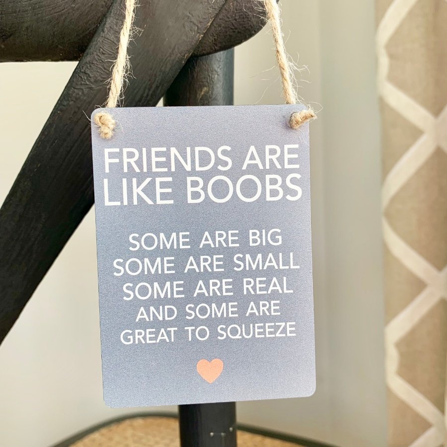 Friends Like Boobs Mini Metal Sign 9cm 46685 Occasions