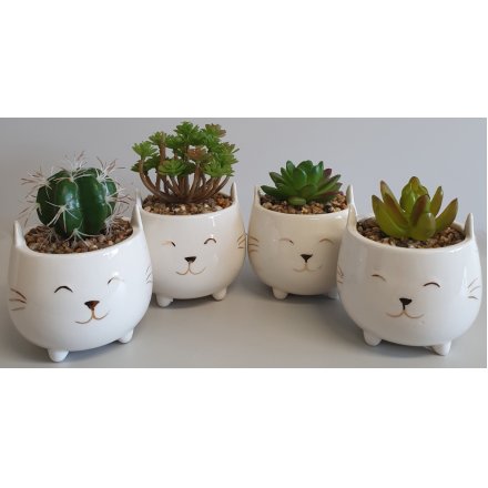 CA0162 / Cute Cat Succulent Pots | 46730 | Homeware / Decorative  Accessories | Gainsborough Giftware Ltd