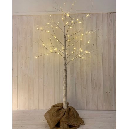  A birch bark inspired twig tree with warm glowing LED tips, perfectly placed within a hessian bagged base 
