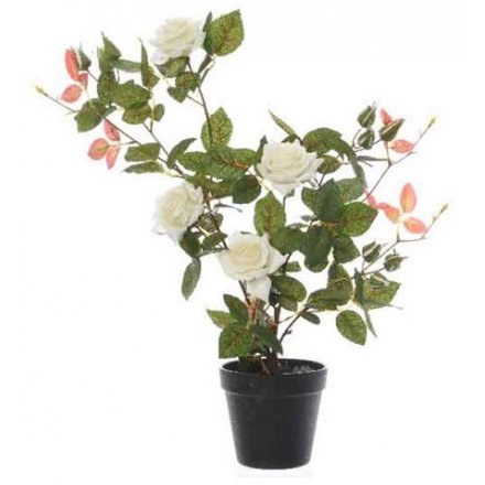 Artificial Rose Bush - White 50cm