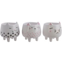 An adorable assortment of kitty shaped planters, each set with its own decals 