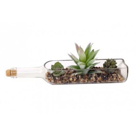 Cacti in Horizontal Bottle 7.5 x 28 cm
