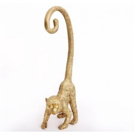 Curly Tail Monkey 43cm 