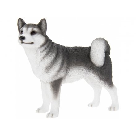 Black & White Husky Dog, 14cm
