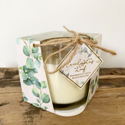  Set within a pretty Eucalyptus decorated box,