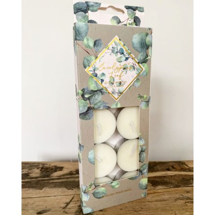 Tealights with Eucalyptus scent - pack of 10