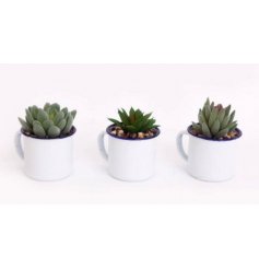 A new twist on a current trend - the maintenance free Cup of Cactus!