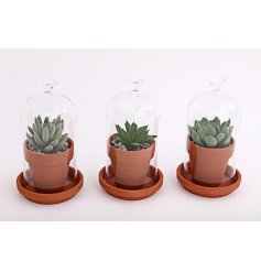 Charmingly simple accessories sure to fit in with any home style, 