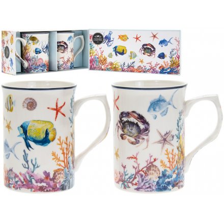 Colourful Sea Life Mugs, Set of 2