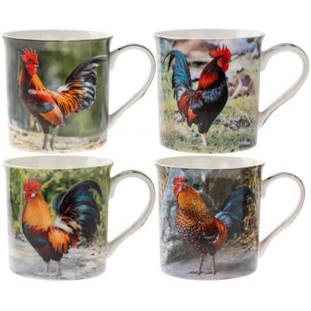 An assortment of 4 fine quality colourful cockerel mugs, each with an individual gift box.
