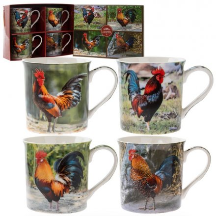 A set of 4 fine quality colourful cockerel mugs with picture gift box.