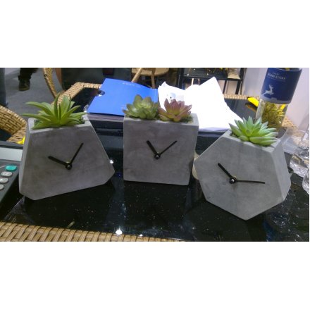 Cement Clock With Potted Succulents, 17cm 