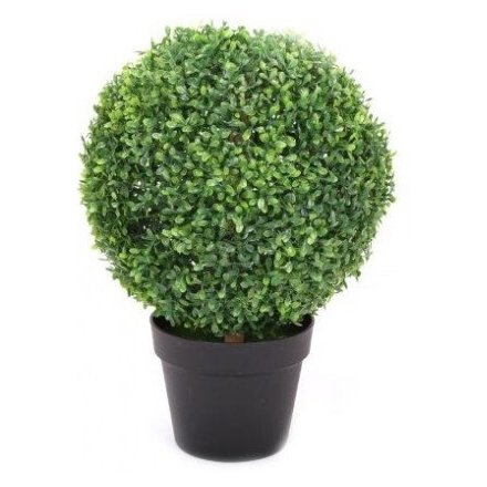 Round Potted Topiary, 40cm 