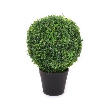 Round Potted Topiary, 35cm 