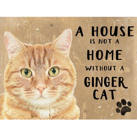 House Not A Home Metal Sign - Ginger Cat