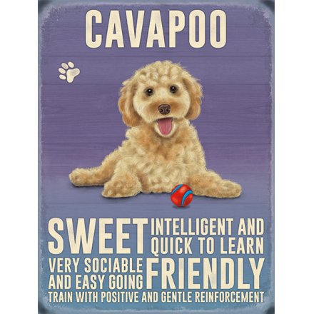 Mini Metal Sign - Cavapoo 