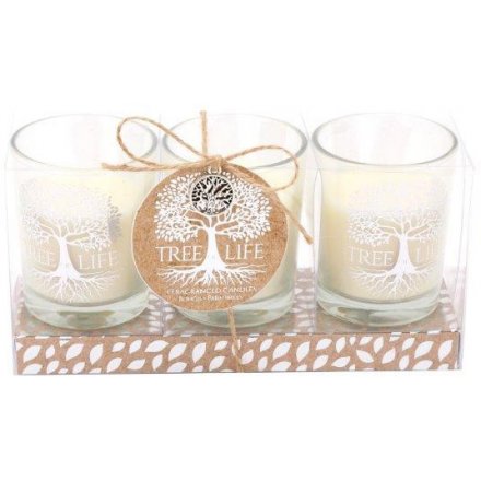 Silver Tree Candle Gift Set 