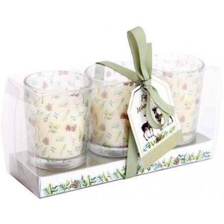 Fig And Wood Sage Set of Candles