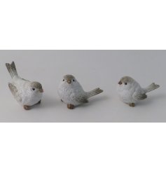 An assortment of 3 posed bird decorations with white tones and glittery touches 