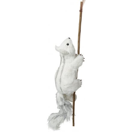 White Squirrel On Branch, 66cm 