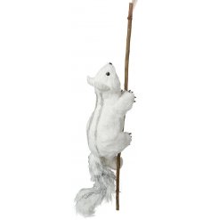 A cute little winter white squirrel climbing a branch, 