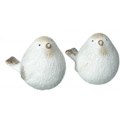 An adorable mix of plump little birdie decorations, perfect for any home at Christmas! 