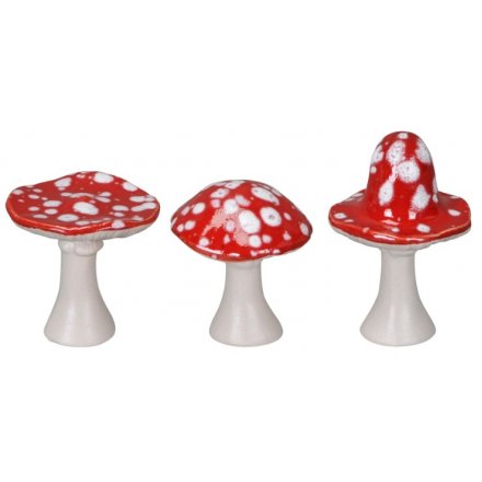 White Speck Capped Mushrooms, 6cm 