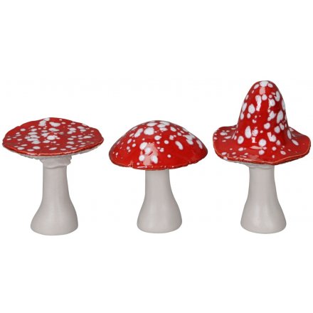 Assorted Red Cap Mushrooms, 10cm 