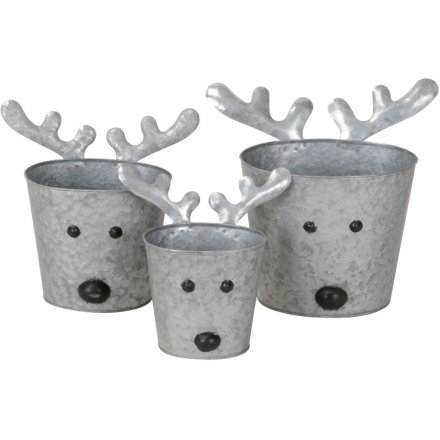 Set of 3 Reindeer Planters, 30cm 