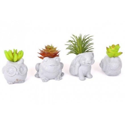 Mini Animal Pots With Succulents, 7cm 