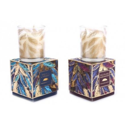 Golden Feather Boxed Candle Pots, 8cm 