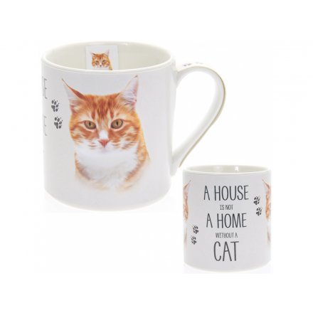 Home Without A Cat China Mug
