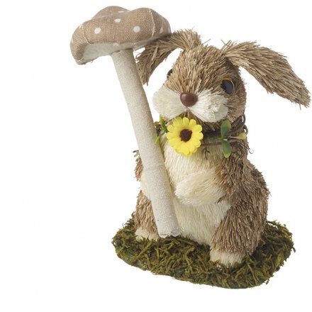 Spring Rabbit And Mushroom