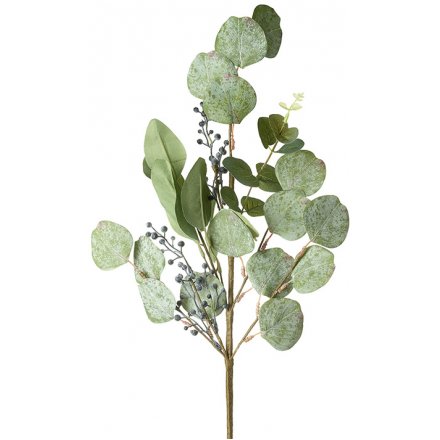 Eucalyptus Leaf Branch, 65cm 