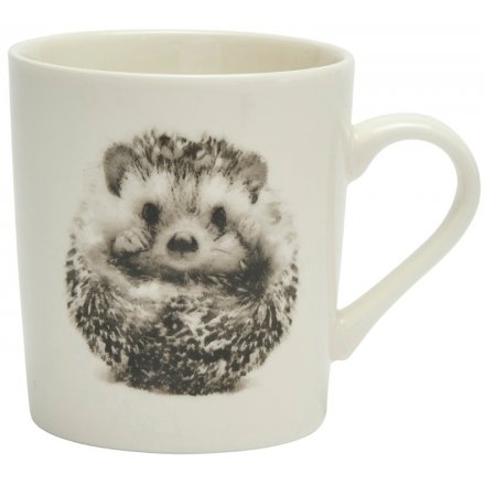 Ceramic Hedgehog Printed Mug, 10cm 