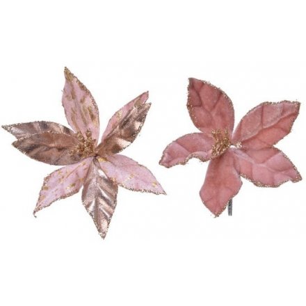Blush Pink Poinsettia Velvet Flowers, 11cm 