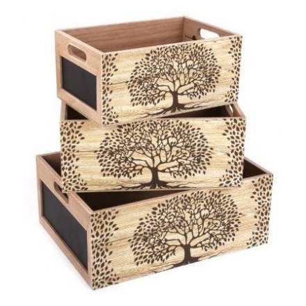 Wooden Tree Crate Set, 40cm 