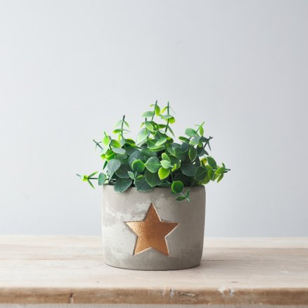 A chic grey cement planter with a rustic gold painted star. A stylish rough luxe item for the home.