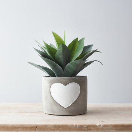 A chic and stylish cement planter with a white painted heart.